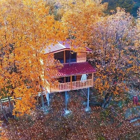 Chalet Agaoglu Dagevleri Sapanca